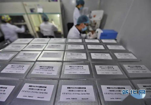 只有源頭創新，才能突破醫療器械領域“掐脖子”問題——專訪生物醫學工程專家樊瑜波