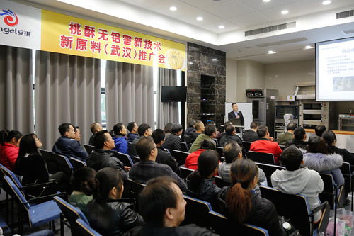 新材料技術(shù)推廣服務(wù) 開啟創(chuàng)新賦能新篇章