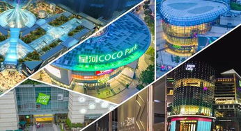 集團(tuán)商業(yè)綜合體管理服務(wù)升級(jí)，以精細(xì)化運(yùn)營引領(lǐng)城市商業(yè)新生態(tài)